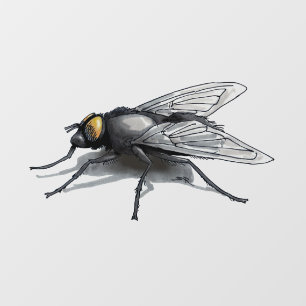 Autocollant Pour Fenêtre Fly Buddy ombre voir-à-travers fenêtre serrer le d
