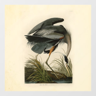 Autocollant Pour Fenêtre Grand Héron bleu d'Audubon Marais Oiseau
