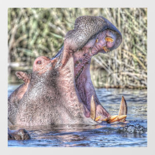 Autocollant Pour Fenêtre hippo peint