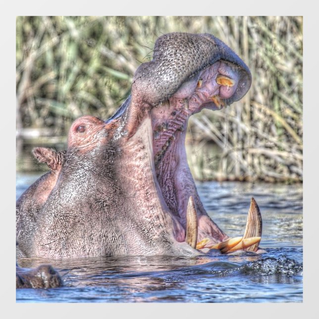 Autocollant Pour Fenêtre hippo peint (Feuille)