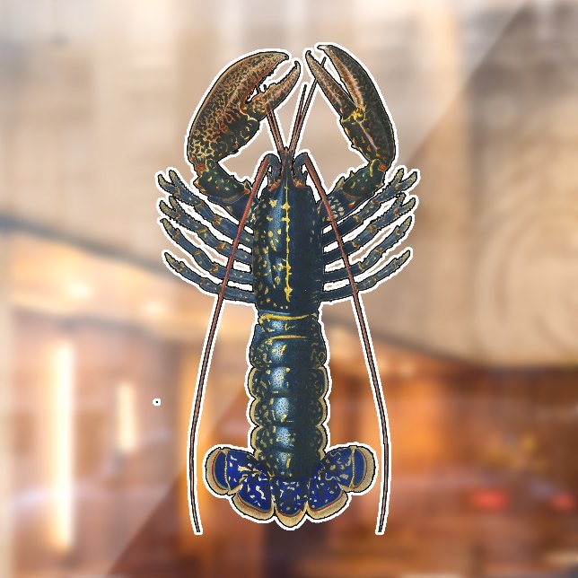 Autocollant Pour Fenêtre Homard Coquillages Fruits de mer Maine Classique O (Feuille 2)
