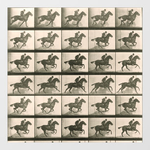 Autocollant Pour Fenêtre Horse Motion Photographie Vintage