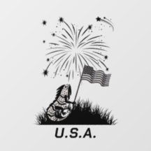 Iguana patriotique 4 juillet