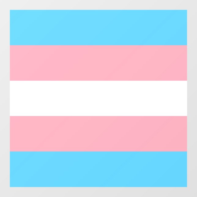 Autocollant Pour Fenêtre Indicateur de fierté transgenre (Feuille)