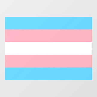 Autocollant Pour Fenêtre Indicateur de fierté transgenre