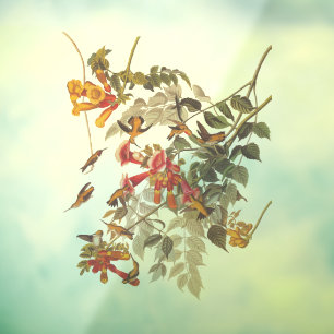 Autocollant Pour Fenêtre Les colibris et les fleurs à gorge rubis d'Audubon