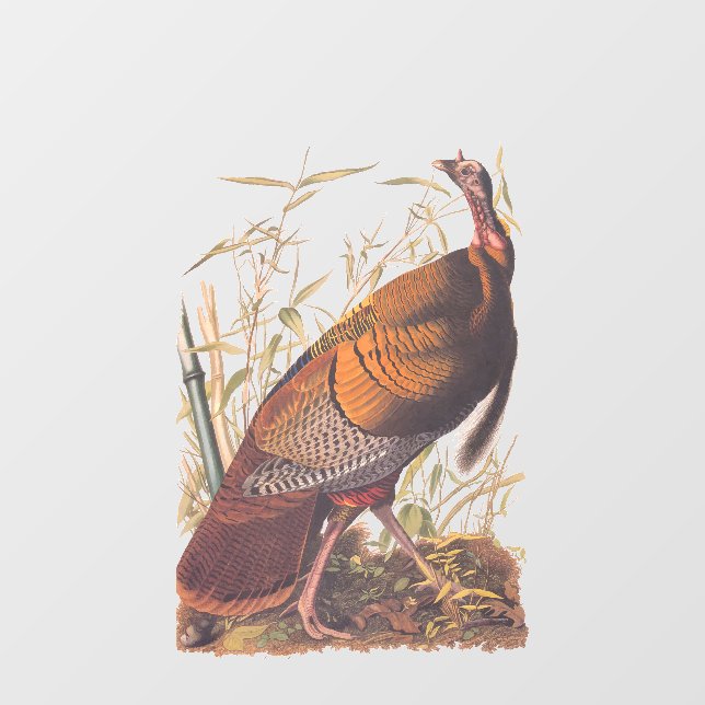 Autocollant Pour Fenêtre Les oiseaux d'Amérique d'Audubon La Turquie sauvag (Feuille)