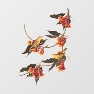 Autocollant Pour Fenêtre Oiseau de la Paruline de Rathbone sur crossvine