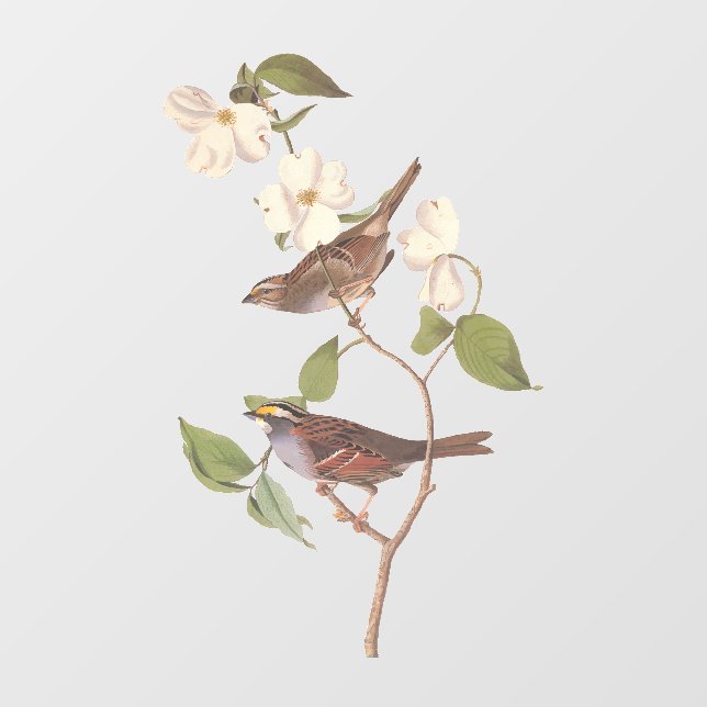 Autocollant Pour Fenêtre Oiseaux Audubons à Bruant à Throses Blanches avec  (Feuille)