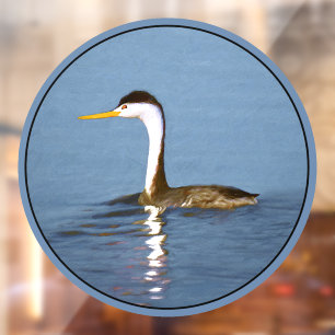 Autocollant Pour Fenêtre Peinture de Grèbe de Clark - Art original d'oiseau