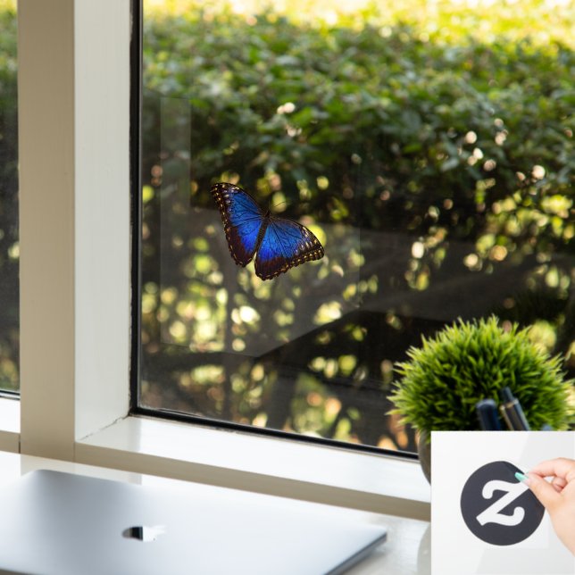 Autocollant Pour Fenêtre Petit Papillon bleu Morpho Clouture de la fenêtre (Bureau)