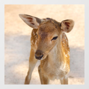 Autocollant Pour Fenêtre Photographie de cerfs fantaisistes en forêt