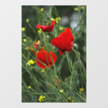 Autocollant pour fenêtre - Photographie de Coqueli