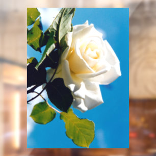 Autocollant Pour Fenêtre Rose blanche sous ciel bleu