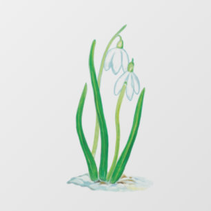 Autocollant Pour Fenêtre Snowdrops
