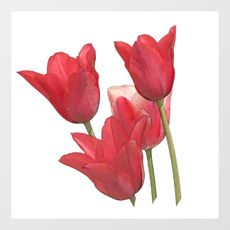 Autocollant Pour Fenêtre Tulipes rouges