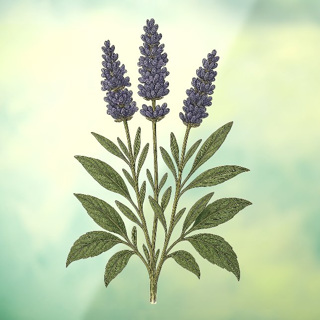 Autocollant Pour Fenêtre Vintage Lavender (Feuille 3)