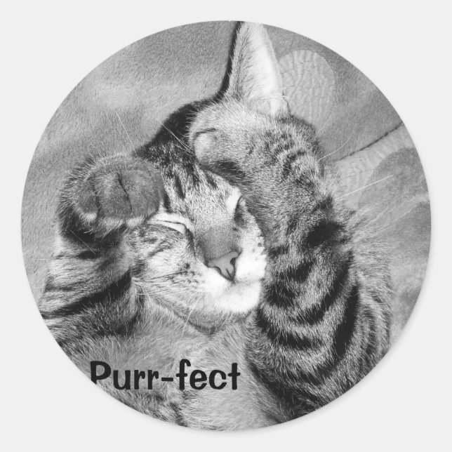 Autocollant Purr-fect (Devant)