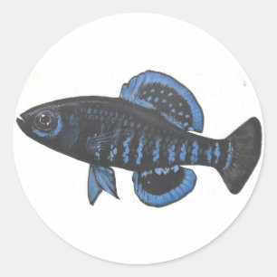 Autocollant pygméen de sunfish d'Okefenokee