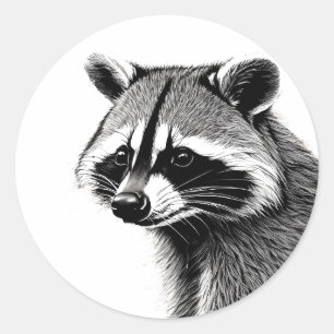 Autocollant Raccoon