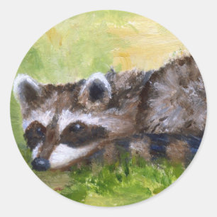 Autocollant Rascal aceo Raccoon