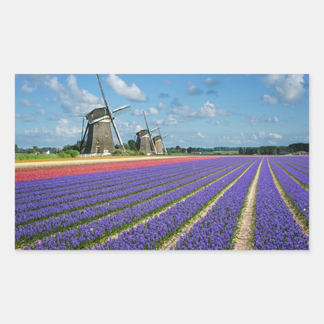 Autocollant rectangulaire pour les fleurs et les m (Devant)
