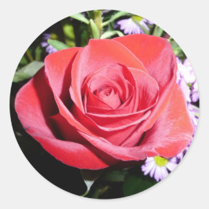 Autocollant Red Rose