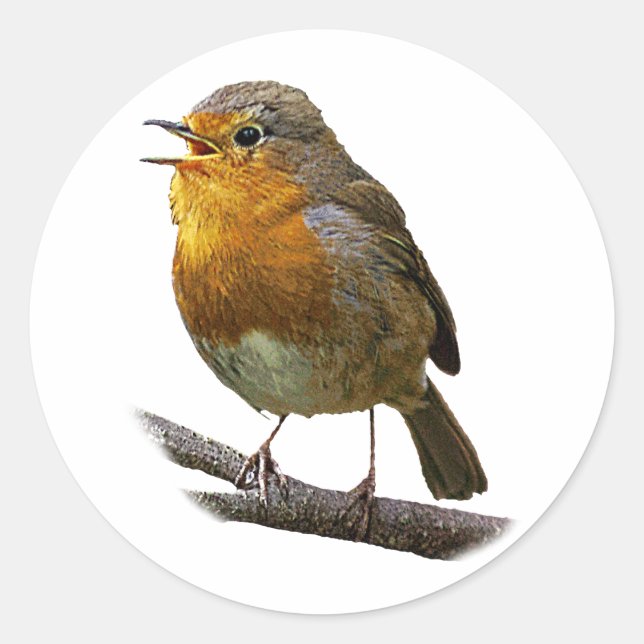 Autocollant Robin (Devant)