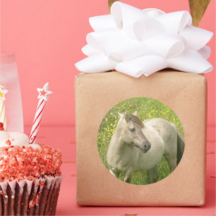 Autocollant rond à cheval sauvage mignon