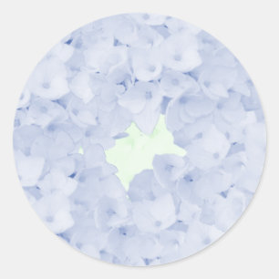 Autocollant Rond Classique Hortensias Bleu Clair