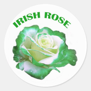 Autocollant rose d'Irlandais
