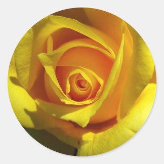 Autocollant Rose Jaune