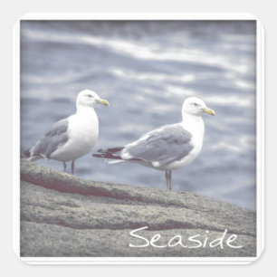 Autocollant Seagulles de mer