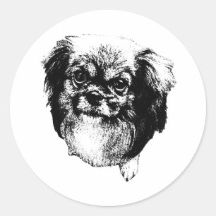 Autocollant Spaniel Tibétain – Portrait à l'Encre 