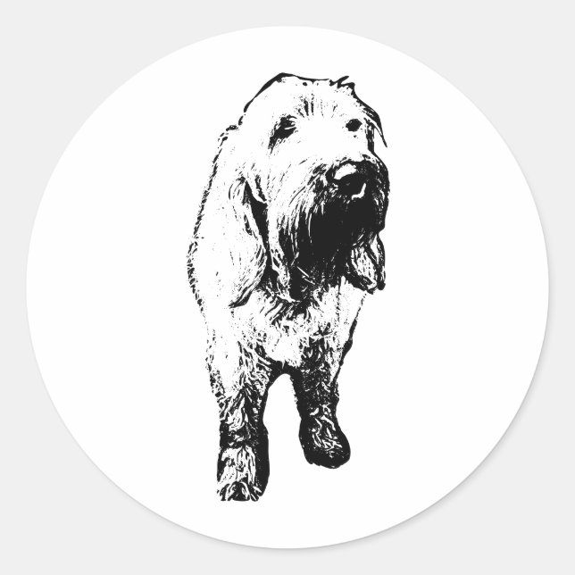 Autocollant Spinone Italiano – Chien debout audaci (Devant)