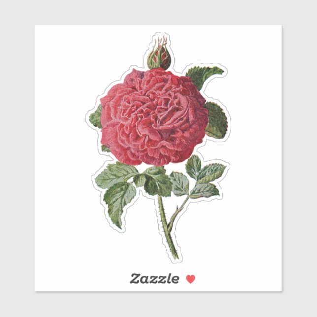 AUTOCOLLANT TRANSPARENT ROSE ROUGE VINTAGE (Feuille)