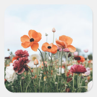 Autocollant Trio de Fleurs