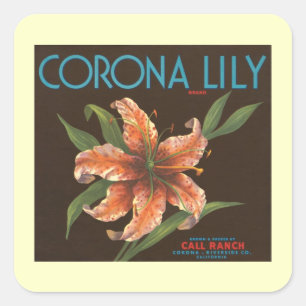 Autocollant vintage Corona Lily
