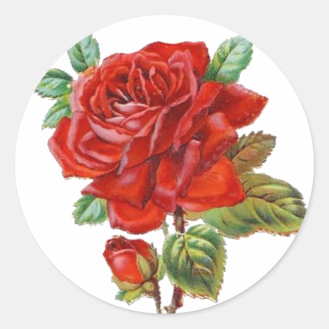 Autocollant vintage Red Rose (Devant)