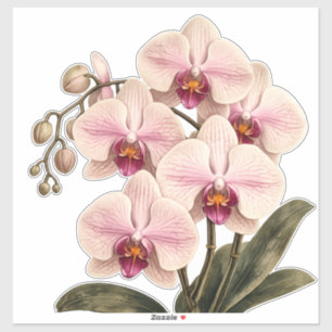 autocollant vinyle orchidée