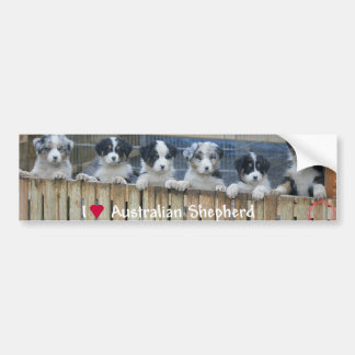 Autocollant voiture " Australian Shepherd "