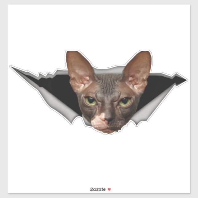Autocollant voiture Sphynx autocollant chat Sphynx (Feuille)