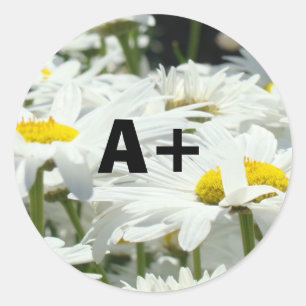 Autocollants A+ Élèves Niveau Enseignants École Da
