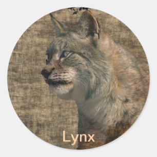 Autocollants animaux sauvages Lynx Wild Cat