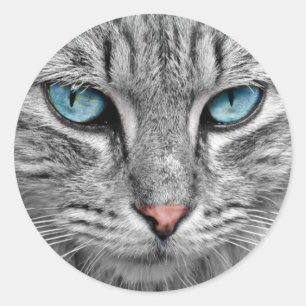 Autocollants aux yeux bleus