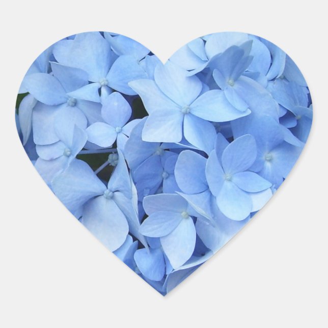 Autocollants - Blue Hydrangea (Devant)
