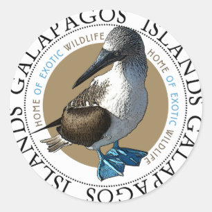 Autocollants Booby à pied bleu