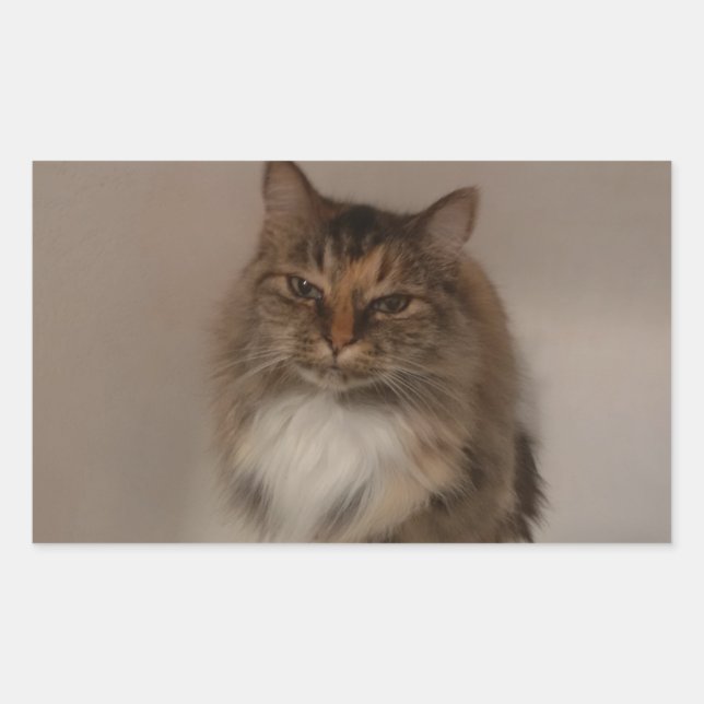 Autocollants Calico Cat (Devant)