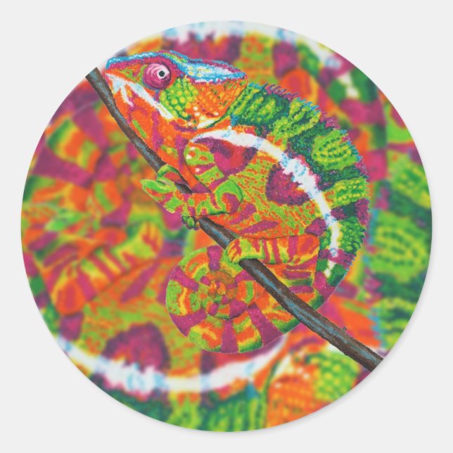 Autocollants caméléons cachés (Devant)