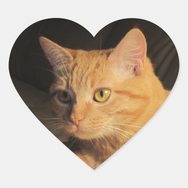 Autocollants cardiaques Marmalady (Devant)